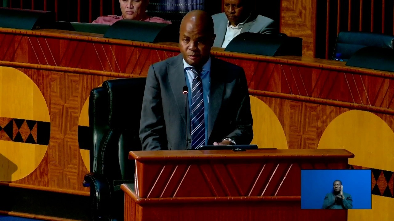 Mpumalanga Premier Mandla Ndlovu